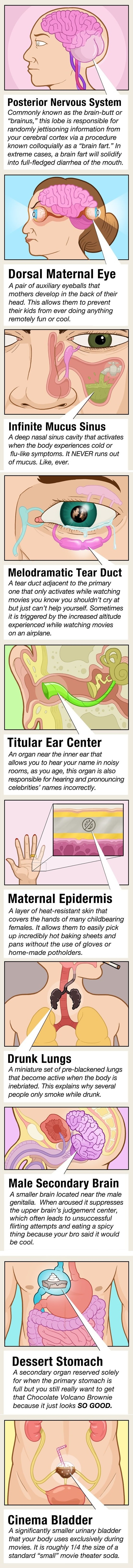 Human body mysteries