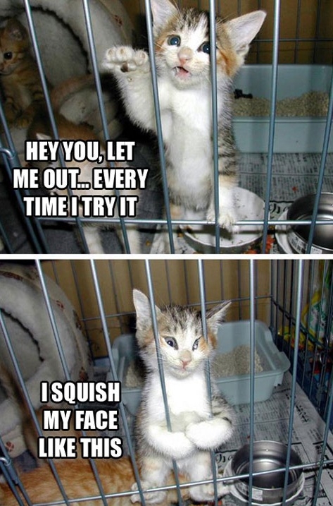 Hey, let me out!