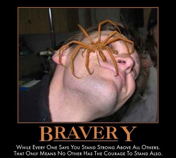 Think you're brave enough?