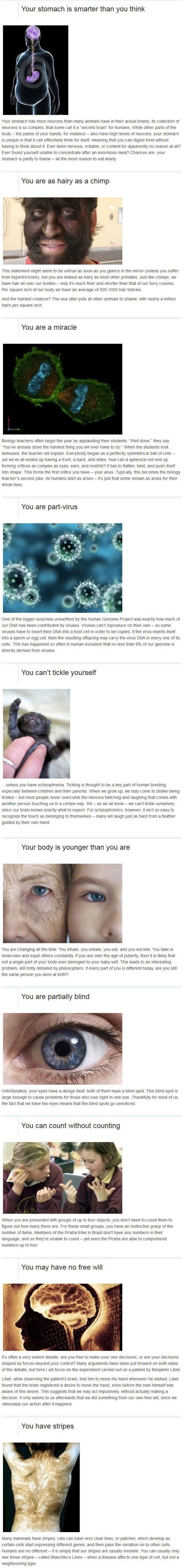 Things you didn't know