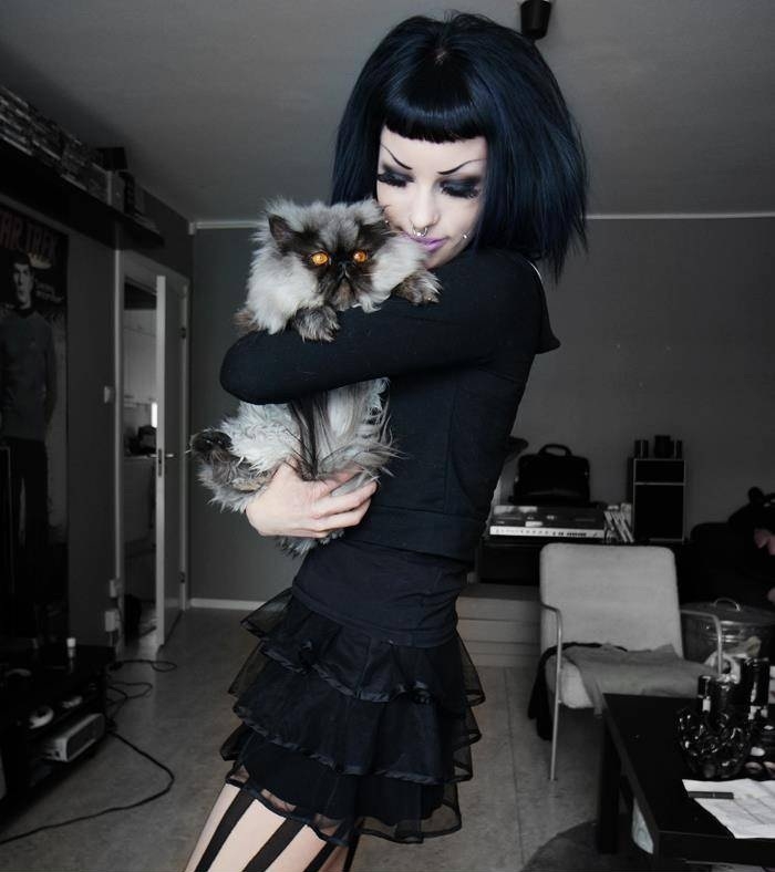 Like master, like pet