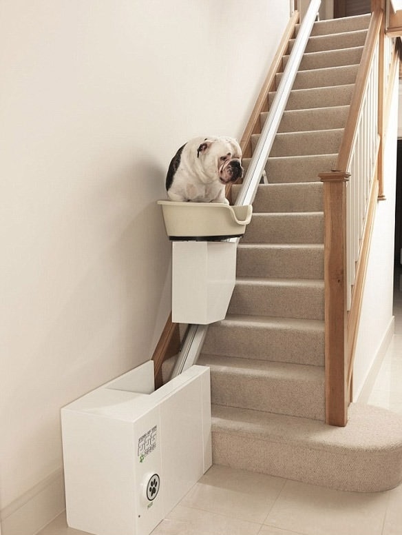 Stair Lift for Dogs