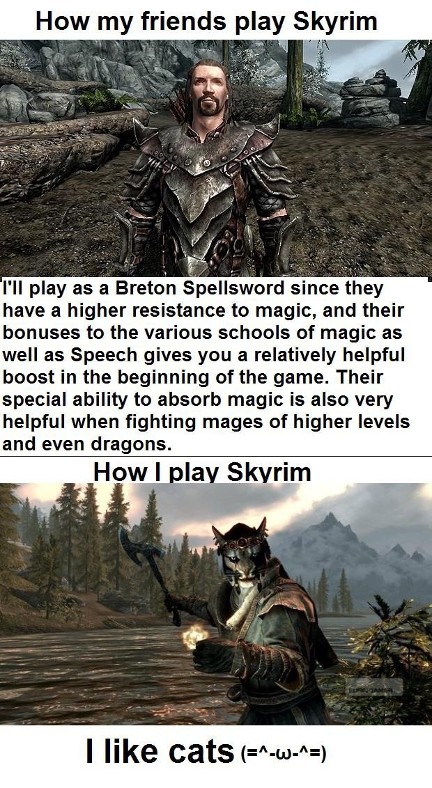 Playing Skyrim