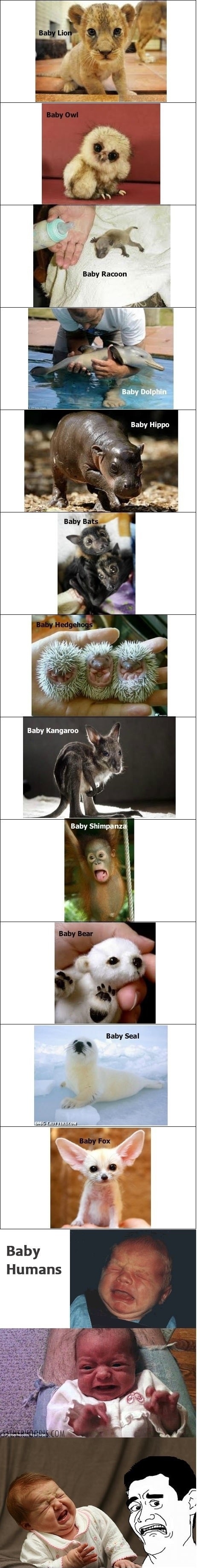 And then there were humans