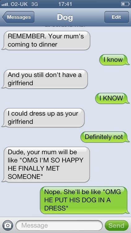 He put his dog in a dress!