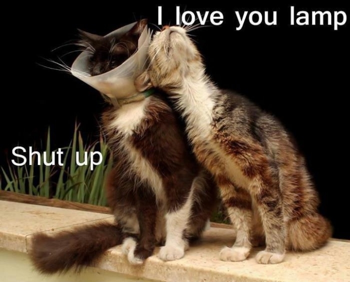 I love you lamp