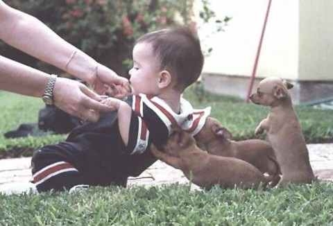A Little Helping Hand