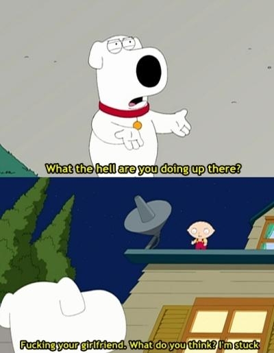 Typical Stewie