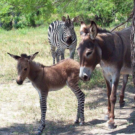 It's the kids who suffer