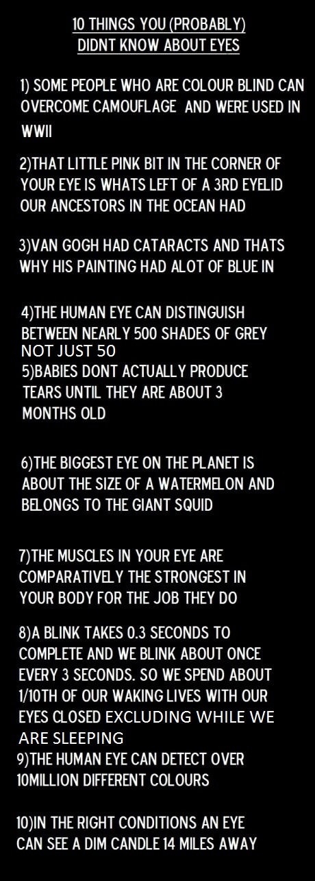 10 things about eyes