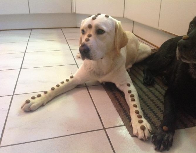 Control lvl: over 9000