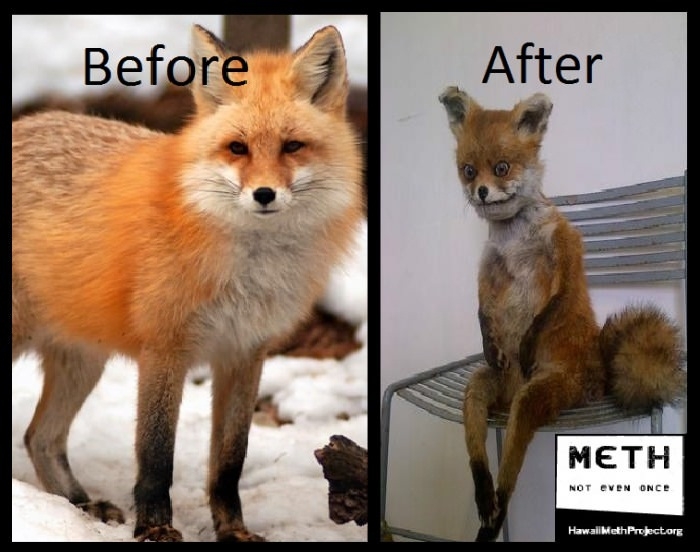 Meth is really bad for you