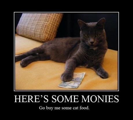 Cat food