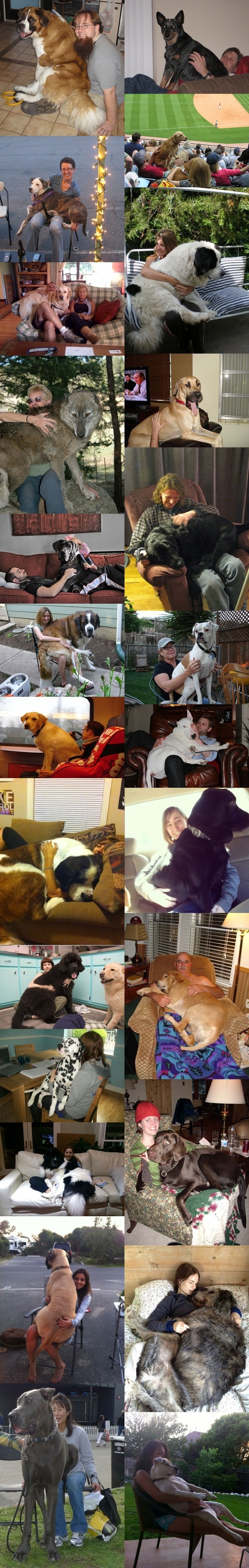 Dogs don't wanna grow up