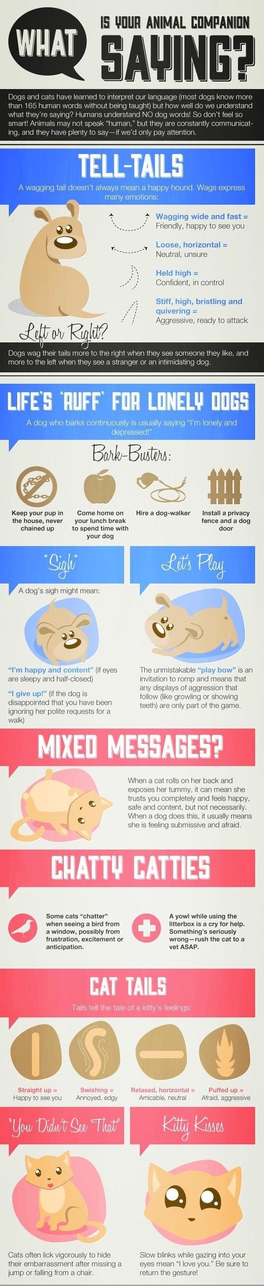 What is your pet saying?