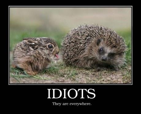 Idiots