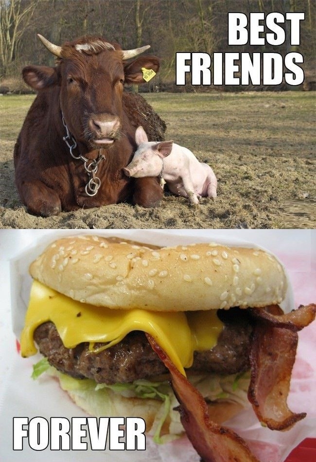 Best friends forever