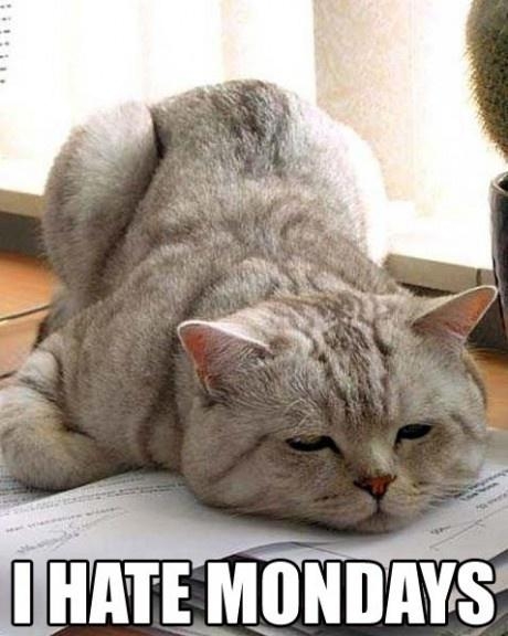 The Monday Sucks Syndrome