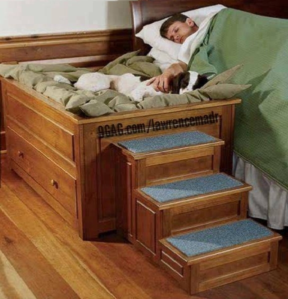 Perfect bed for your dog