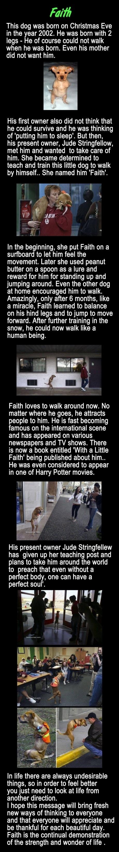 The Power of Faith