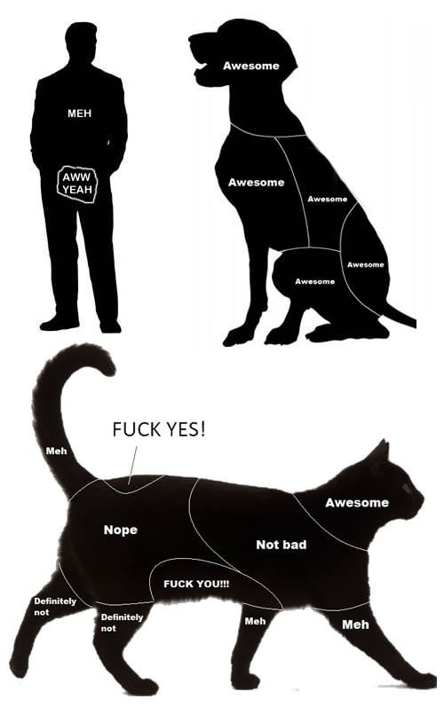 Petting chart of animals