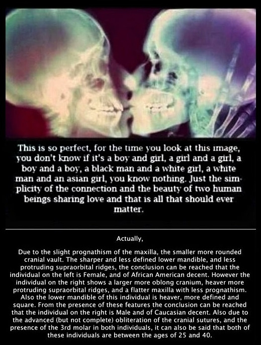 This guy wins the internet