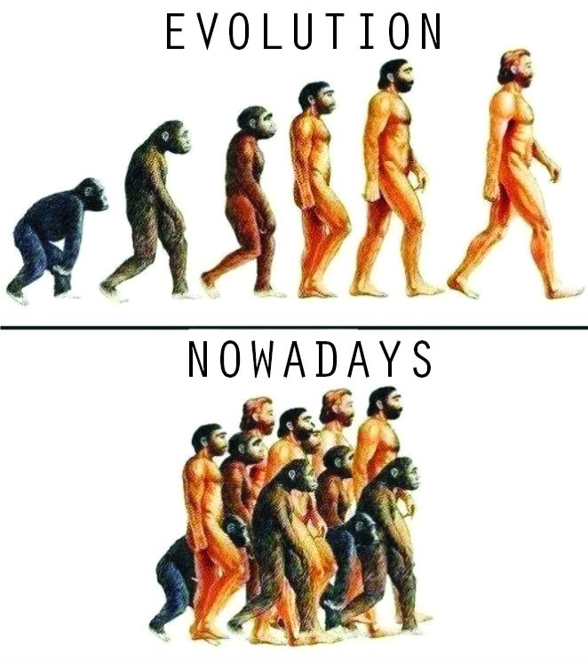 Evolution vs Nowadays
