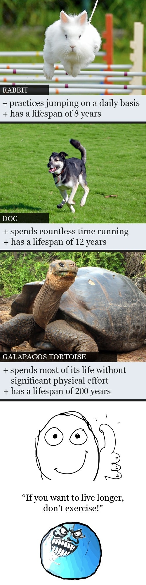 If you want to live longer