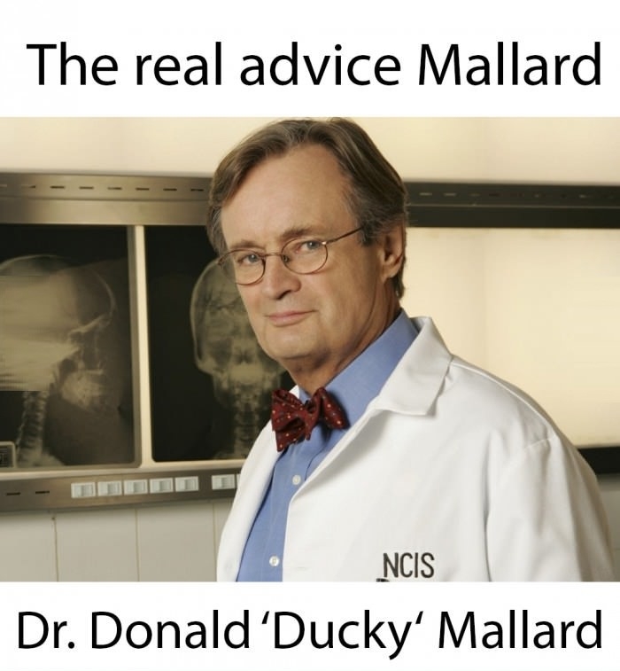 The Best Mallard