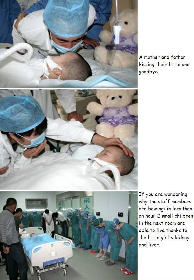 Faith in humanity restored