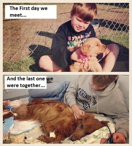 Best Friends Forever!