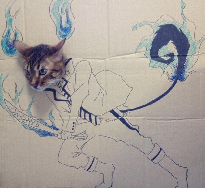 Hang on guys, I'm coming