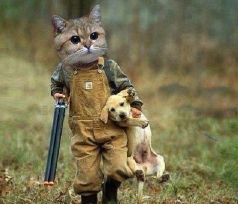 Googled cat hunter