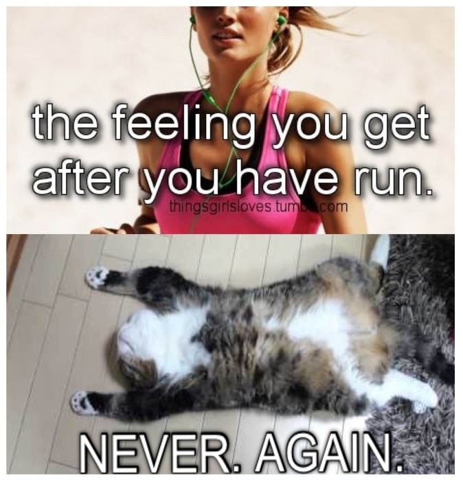 I'm a lazy person
