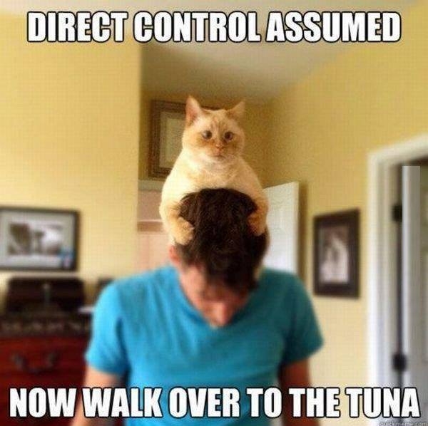 Direct control assumed