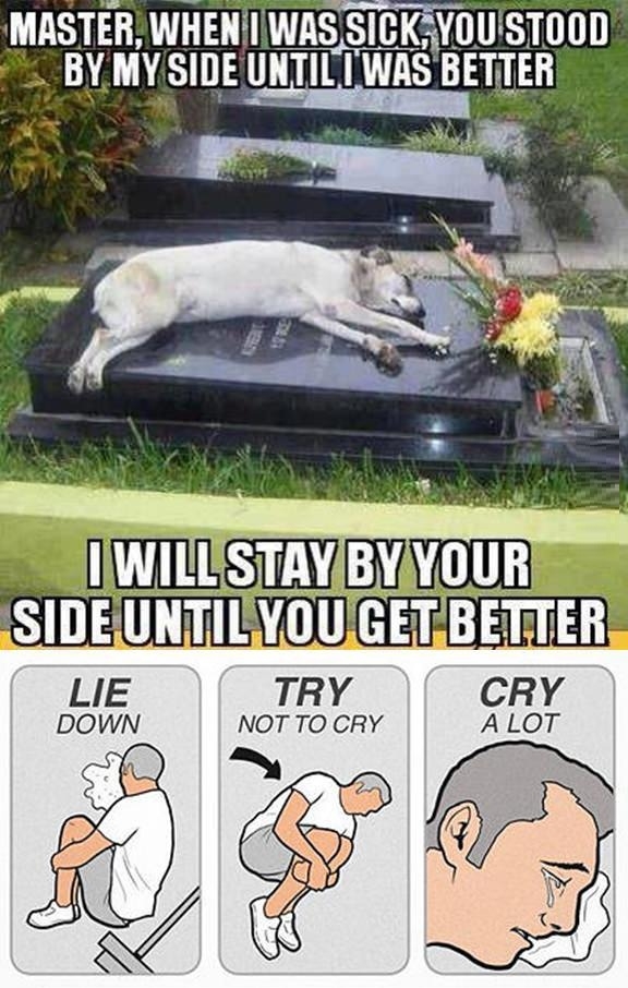 Something got in my eye