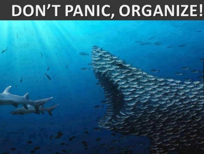 Don't panic