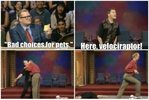 Bad pet choices