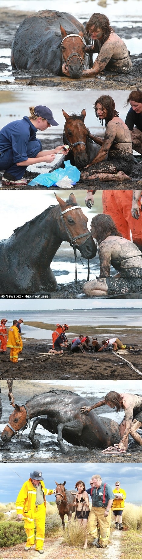 Faith in humanity restored!