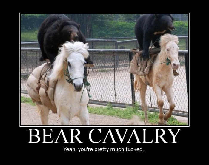 Bear cavalry