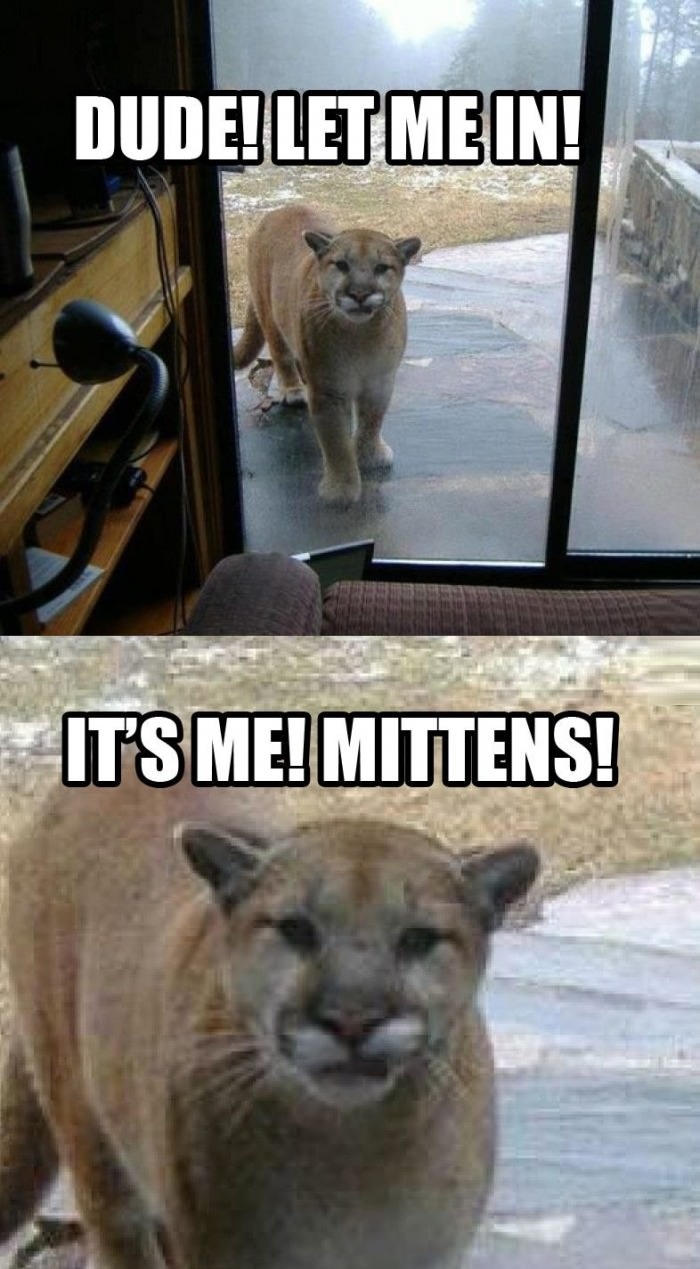 Don't you recognize me?