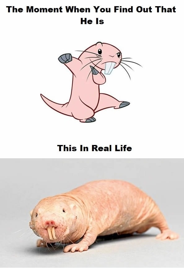 Childhood is freaked out