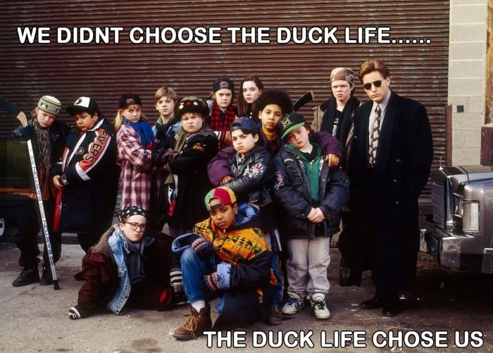 Duck Life!