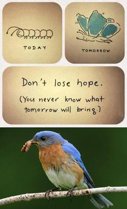 Don't lose hope!