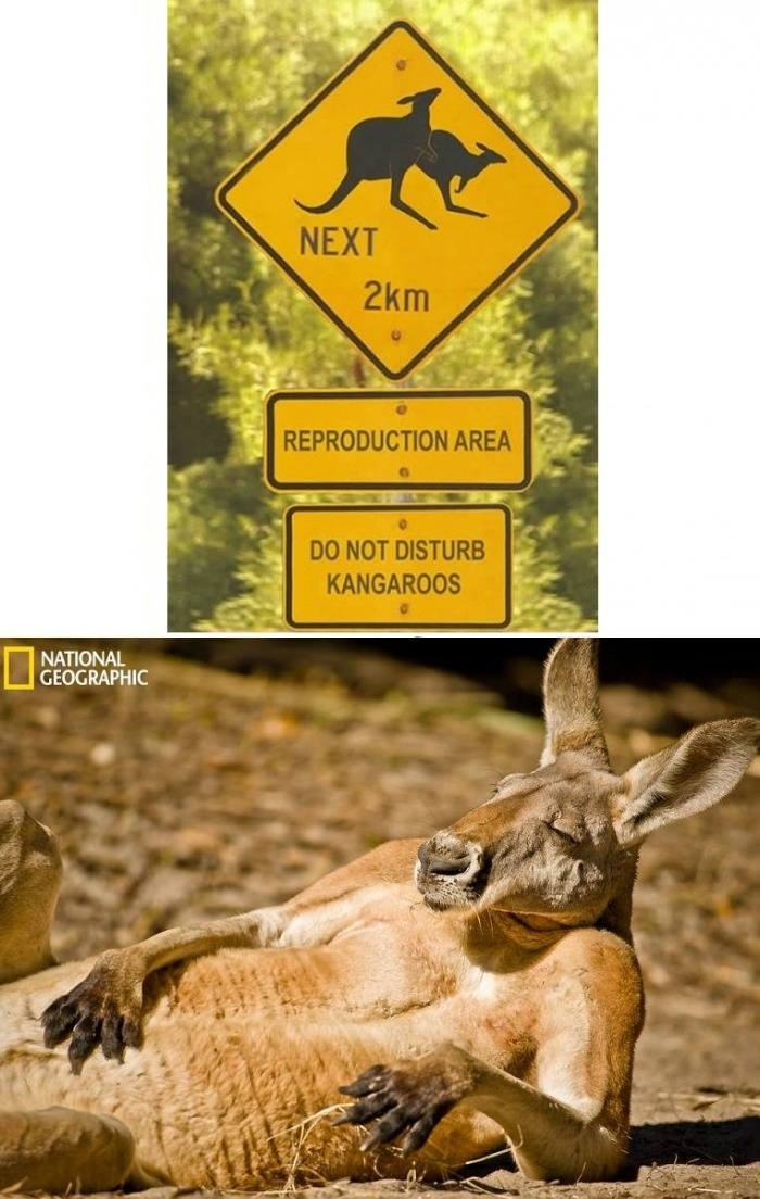 Do not disturb!