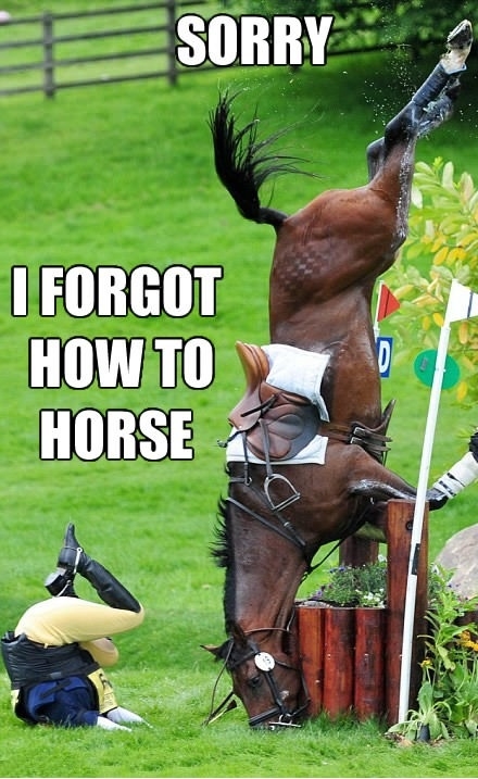 Forgetful horse