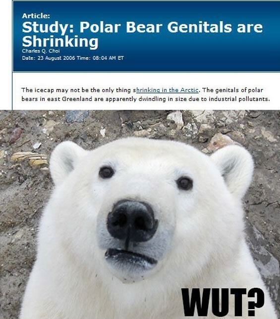 Who does these studies?