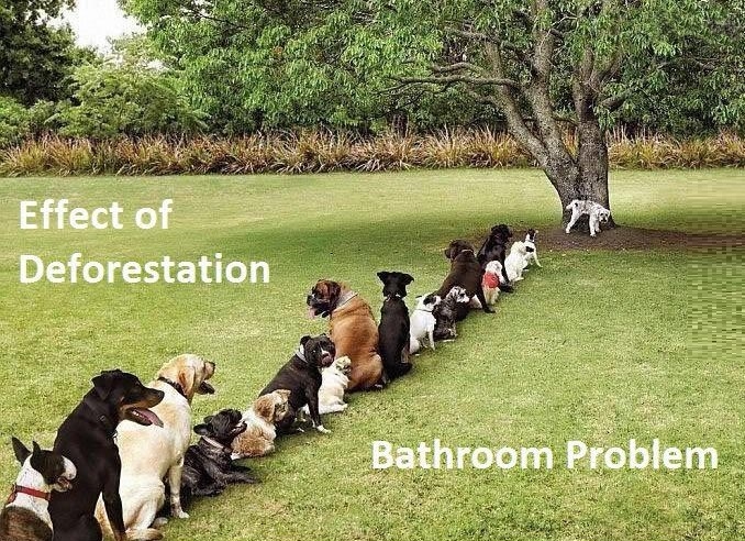Earth these days
