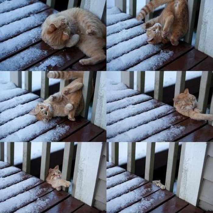 Flip fail