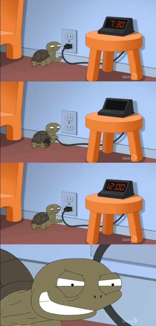 Bada$$ turtle over here